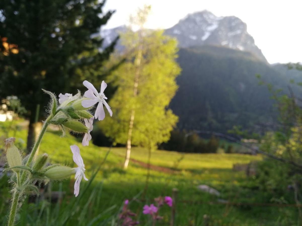 Kofelhof Villa Sexten Luaran gambar